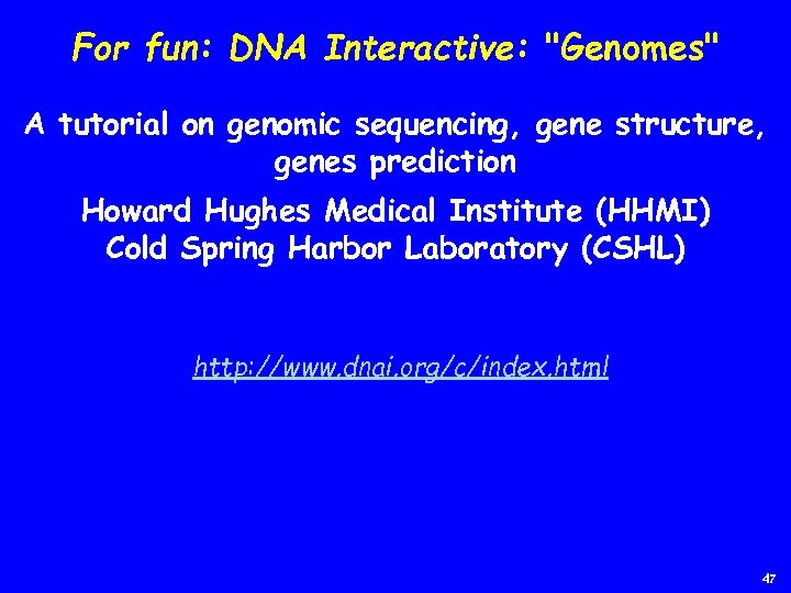 For fun: DNA Interactive: "Genomes" A tutorial on genomic sequencing, gene structure, genes prediction