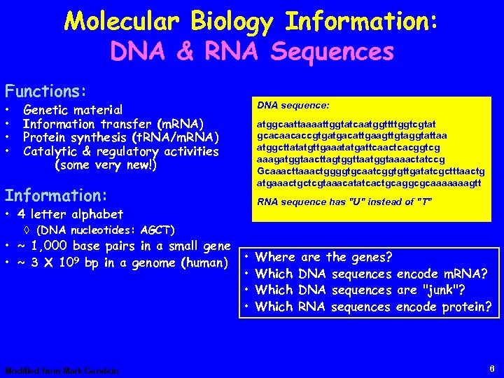 Molecular Biology Information: DNA & RNA Sequences Functions: • • DNA sequence: Genetic material