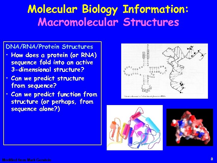 Molecular Biology Information: Macromolecular Structures DNA/RNA/Protein Structures • How does a protein (or RNA)