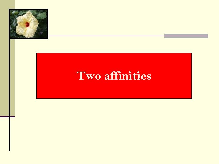 Two affinities 