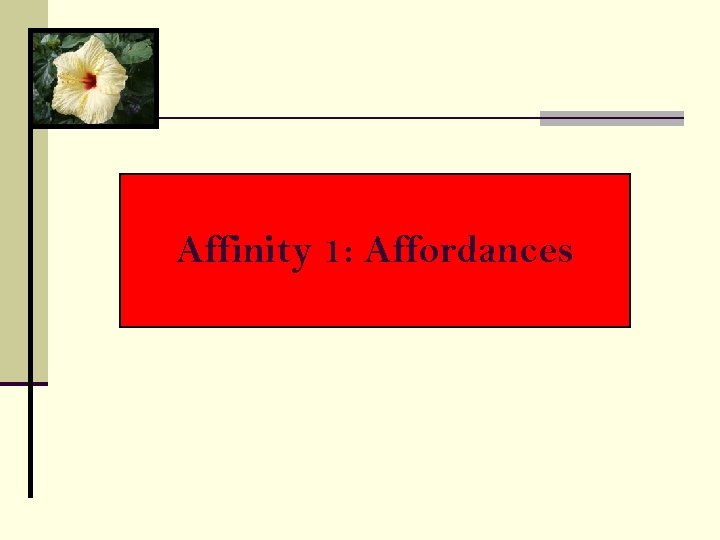 Affinity 1: Affordances 