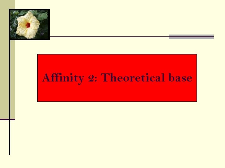 Affinity 2: Theoretical base 