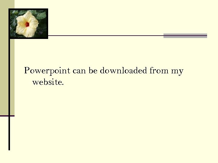 Powerpoint can be downloaded from my website. 