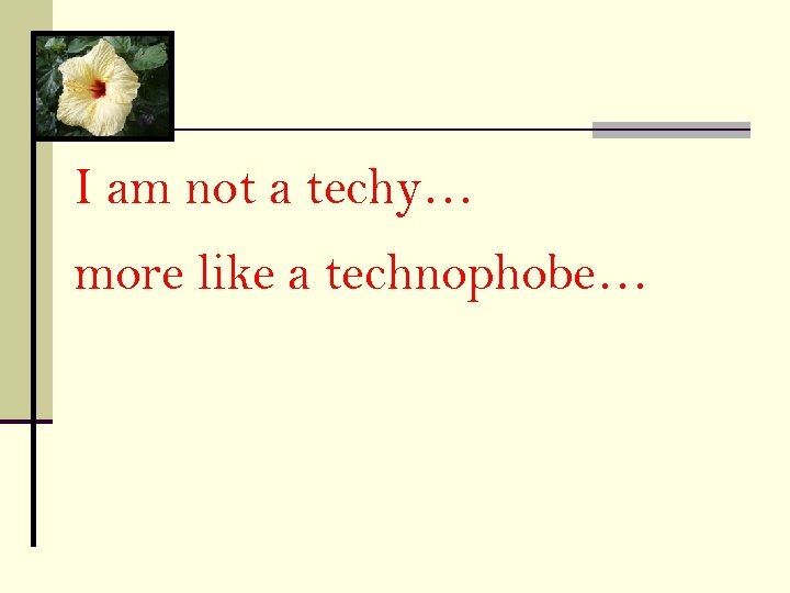 I am not a techy… more like a technophobe… 