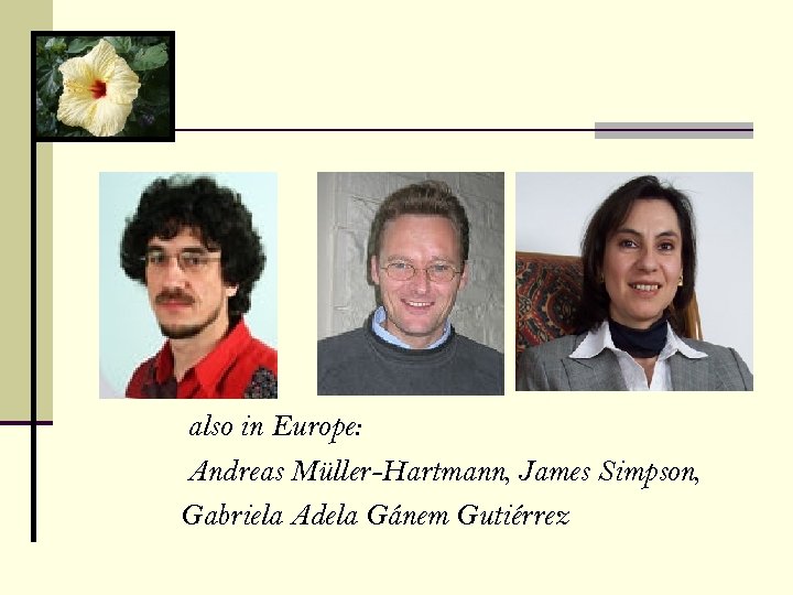 also in Europe: Andreas Müller-Hartmann, James Simpson, Gabriela Adela Gánem Gutiérrez 