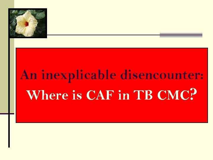 An inexplicable disencounter: Where is CAF in TB CMC? 