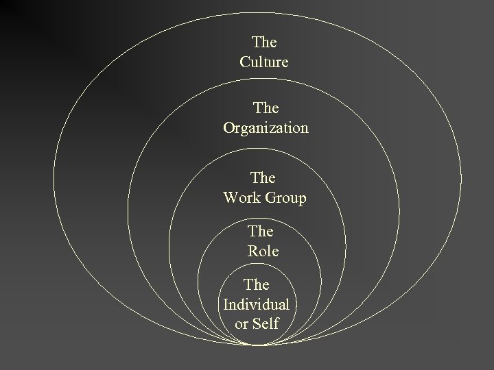 The Culture The Organization The Work Group The Role The Individual or Self 
