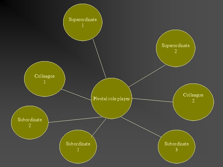 Superordinate 1 Superordinate 2 Colleague 1 Pivotal role player Colleague 2 Subordinate 1 Subordinate