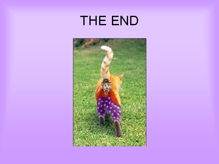 THE END 
