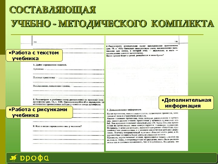  • Работа с текстом учебника • Работа с рисунками учебника • Дополнительная информация