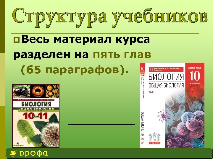 p Весь материал курса разделен на пять глав (65 параграфов). 