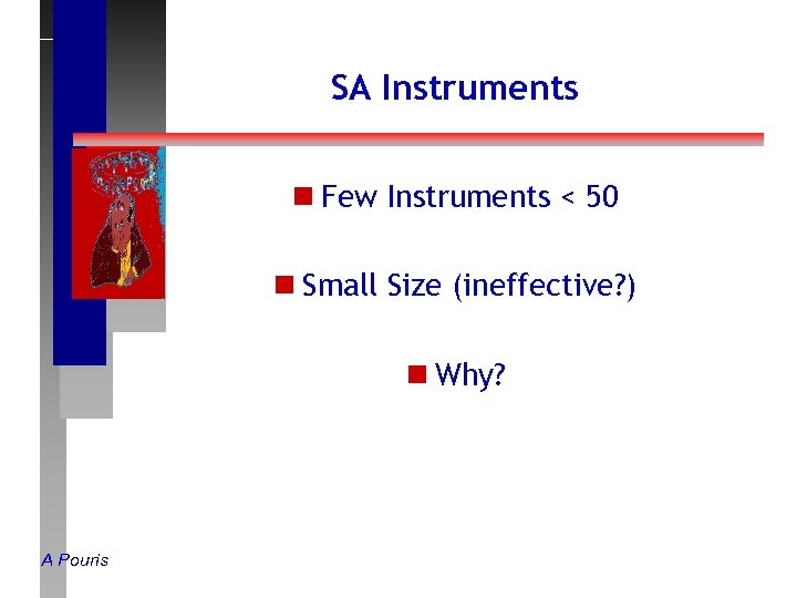 SA Instruments n Few Instruments < 50 n Small Size (ineffective? ) n Why?