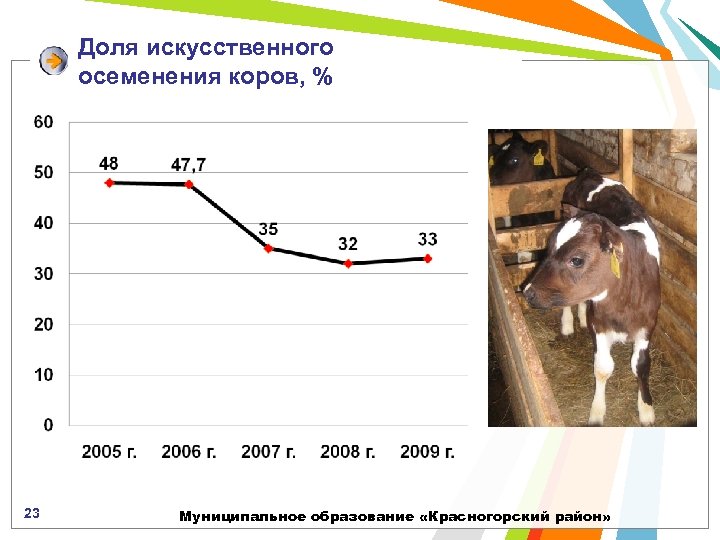 Доля искусственного осеменения коров, % 23 Муниципальное образование «Красногорский район» 