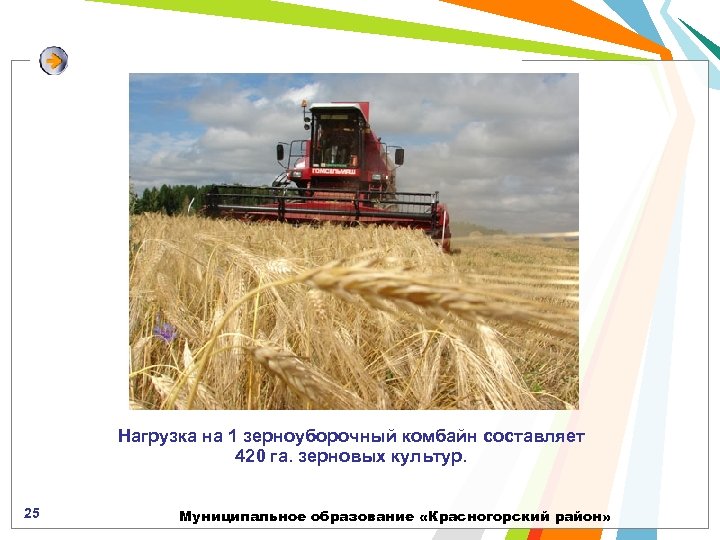 Нагрузка на 1 зерноуборочный комбайн составляет 420 га. зерновых культур. 25 Муниципальное образование «Красногорский