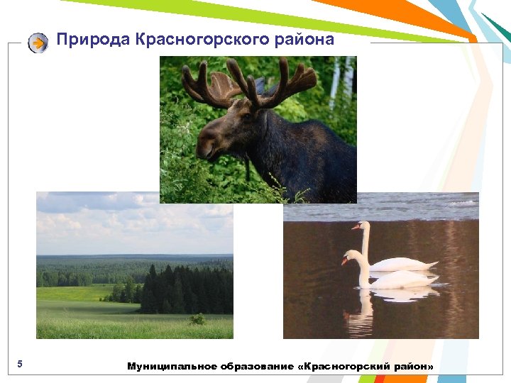 Природа Красногорского района 5 Муниципальное образование «Красногорский район» 