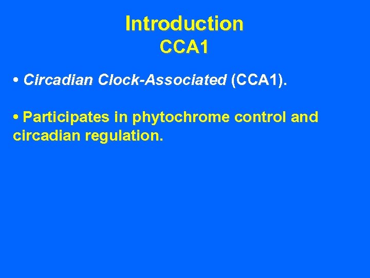 Introduction CCA 1 • Circadian Clock-Associated (CCA 1). • Participates in phytochrome control and