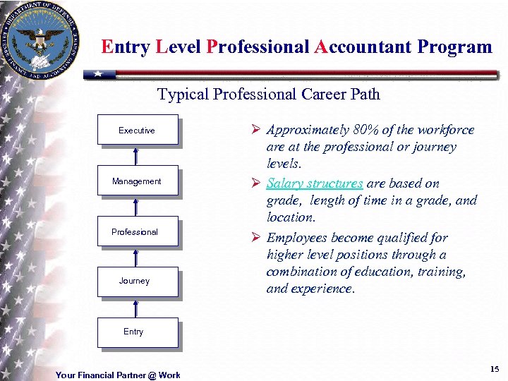 Entry Level Professional Accountant Program Typical Professional Career Path Executive Management Professional Journey Ø