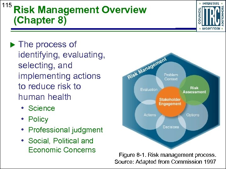 115 Risk Management Overview (Chapter 8) The process of identifying, evaluating, selecting, and implementing