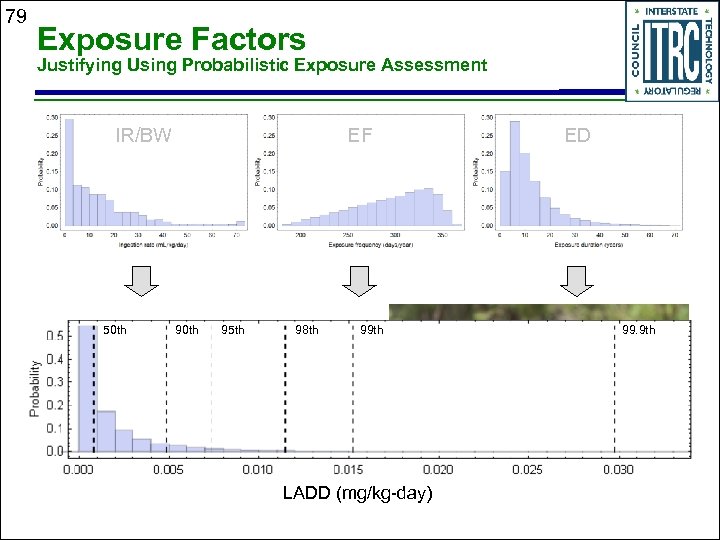 79 Exposure Factors Justifying Using Probabilistic Exposure Assessment IR/BW 50 th EF 90 th