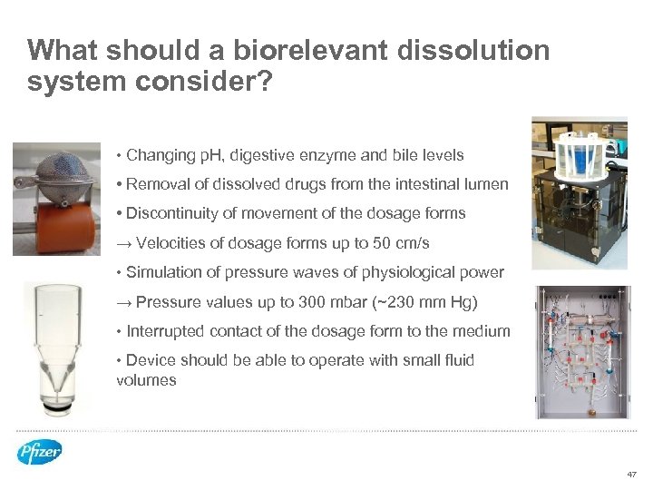 What should a biorelevant dissolution system consider? • Changing p. H, digestive enzyme and