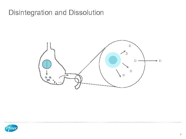 Disintegration and Dissolution D D D . . . 7 