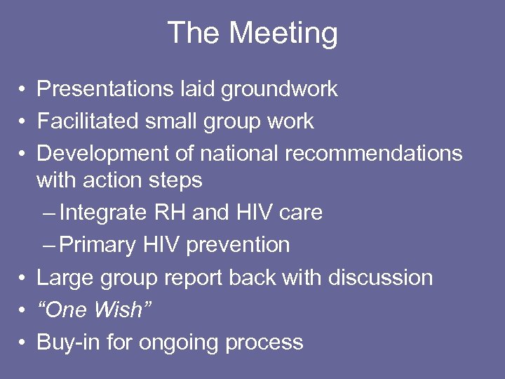 The Meeting • Presentations laid groundwork • Facilitated small group work • Development of