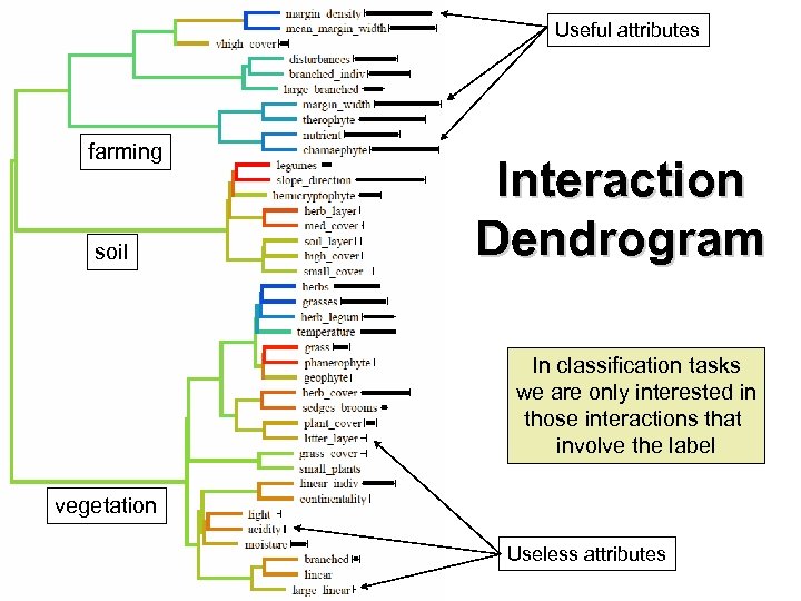 Useful attributes farming soil Interaction Dendrogram In classification tasks we are only interested in