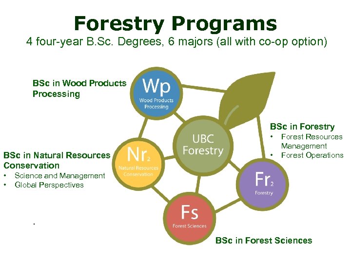Forestry Programs 4 four-year B. Sc. Degrees, 6 majors (all with co-op option) BSc