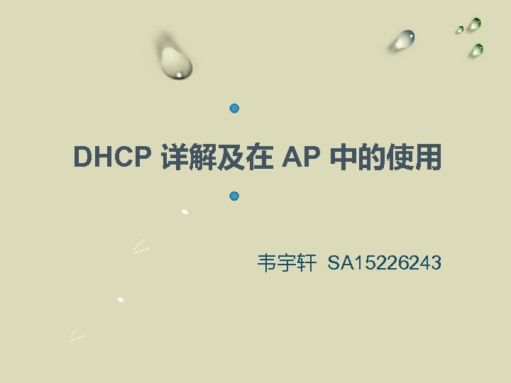 DHCP 详解及在 AP 中的使用 韦宇轩 SA 15226243 
