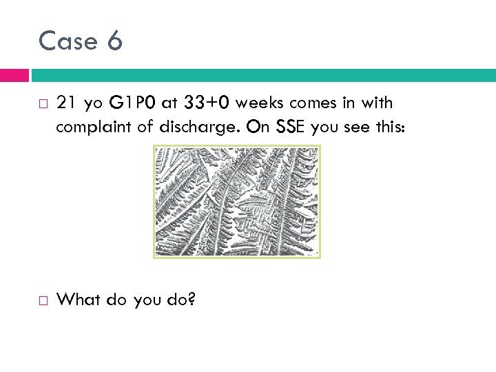 Case 6 21 yo G 1 P 0 at 33+0 weeks comes in with