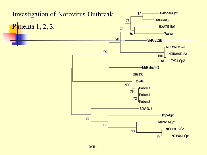 Investigation of Norovirus Outbreak Patients 1, 2, 3. 