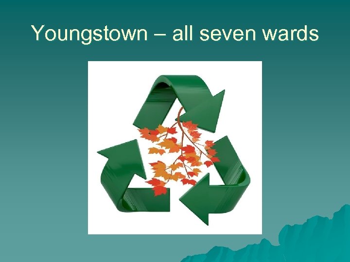 Youngstown – all seven wards 