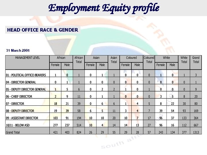 Employment Equity profile HEAD OFFICE RACE & GENDER 31 March 2005 