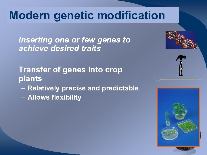 Modern genetic modification Inserting one or few genes to achieve desired traits Transfer of