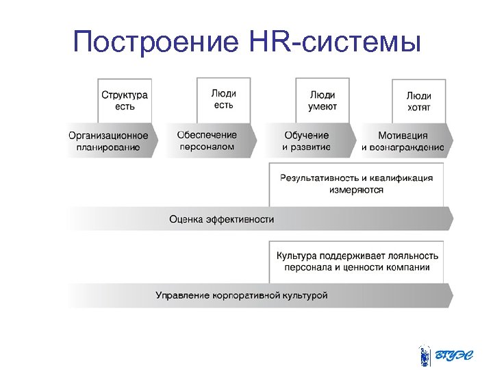 Построй организация. Информационные системы управления персоналом. Структура HR. Построение компании с нуля. Схема системы HR.