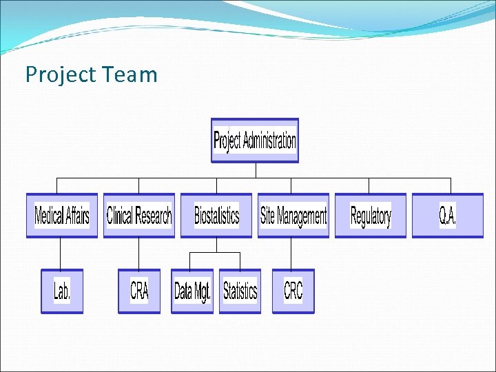 Project Team 