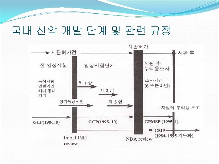 국내 신약 개발 단계 및 관련 규정 