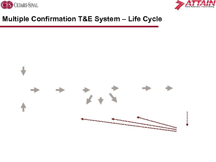 Multiple Confirmation T&E System – Life Cycle 