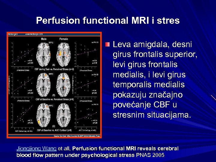 Perfusion functional MRI i stres Leva amigdala, desni girus frontalis superior, levi girus frontalis