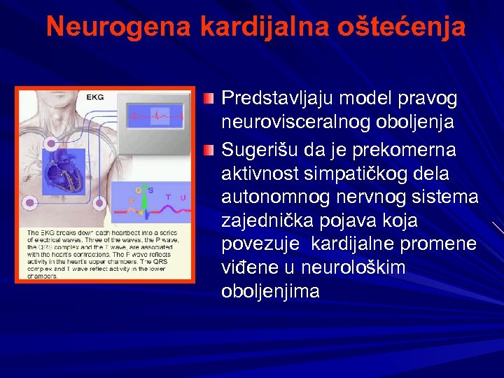 Neurogena kardijalna oštećenja Predstavljaju model pravog neurovisceralnog oboljenja Sugerišu da je prekomerna aktivnost simpatičkog