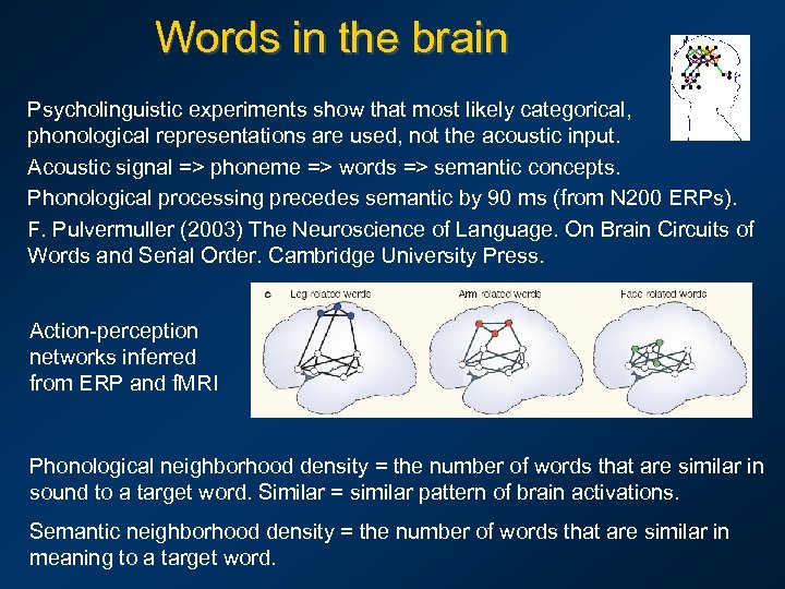Words in the brain Psycholinguistic experiments show that most likely categorical, phonological representations are