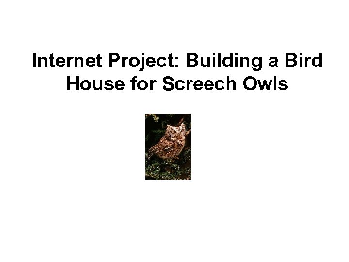 Internet Project: Building a Bird House for Screech Owls 