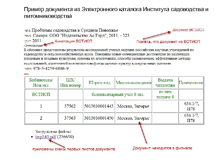 Электронный документ образец