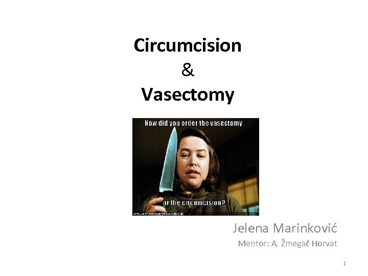 Circumcision & Vasectomy Jelena Marinković Mentor: A. Žmegač Horvat 1 
