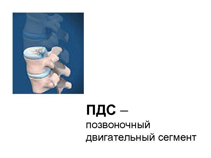 ПДС – позвоночный двигательный сегмент 