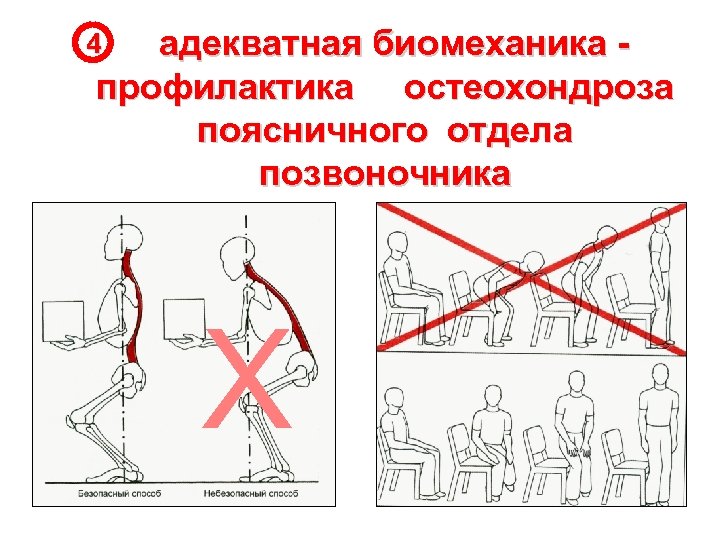 адекватная биомеханика профилактика остеохондроза поясничного отдела позвоночника 4 Х 