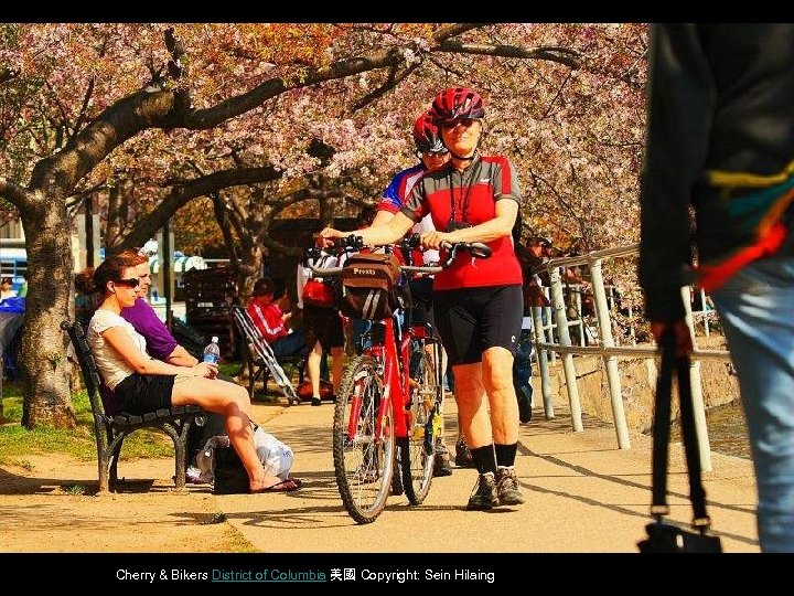 Cherry & Bikers District of Columbia 美國 Copyright: Sein Hilaing 