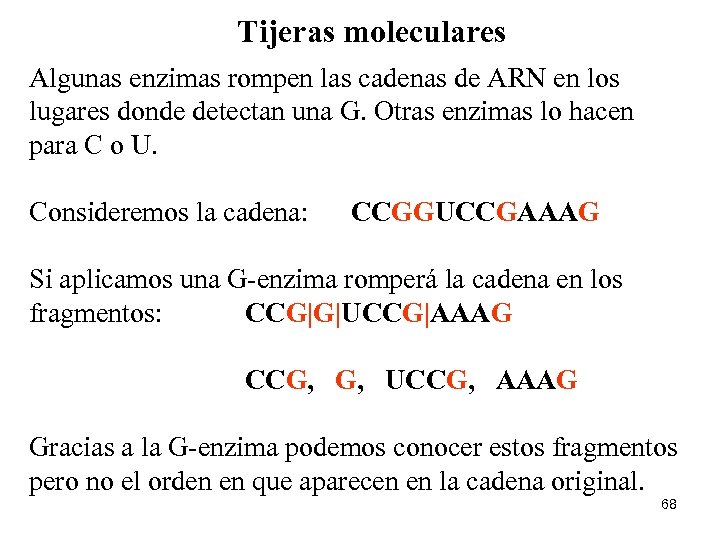 Tijeras moleculares Algunas enzimas rompen las cadenas de ARN en los lugares donde detectan