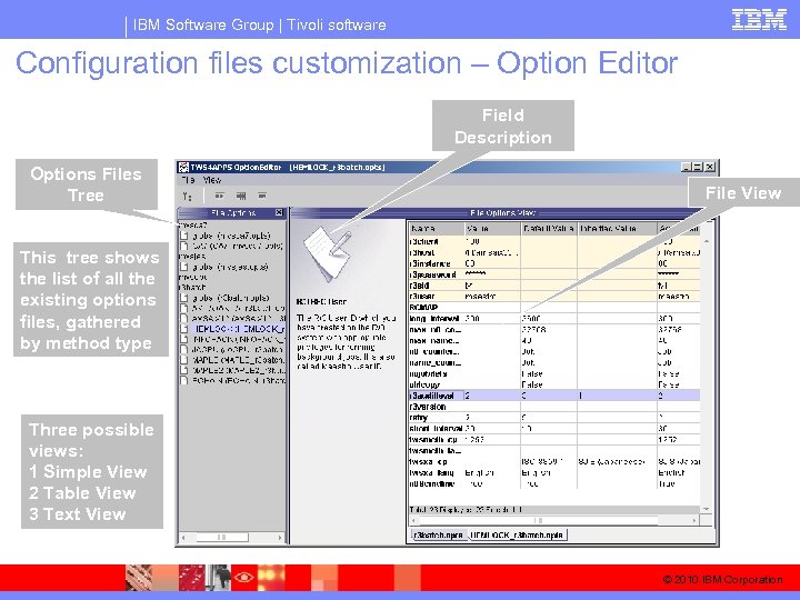 IBM Software Group | Tivoli software Configuration files customization – Option Editor Field Description