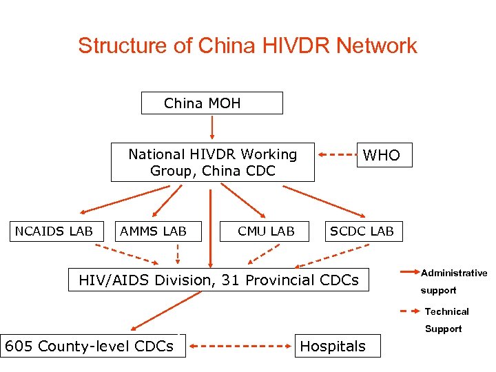 Structure of China HIVDR Network China MOH WHO National HIVDR Working Group, China CDC